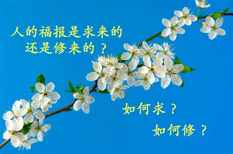 求福|人的福報是求來的還是修來的？如何求？如何修？(在。